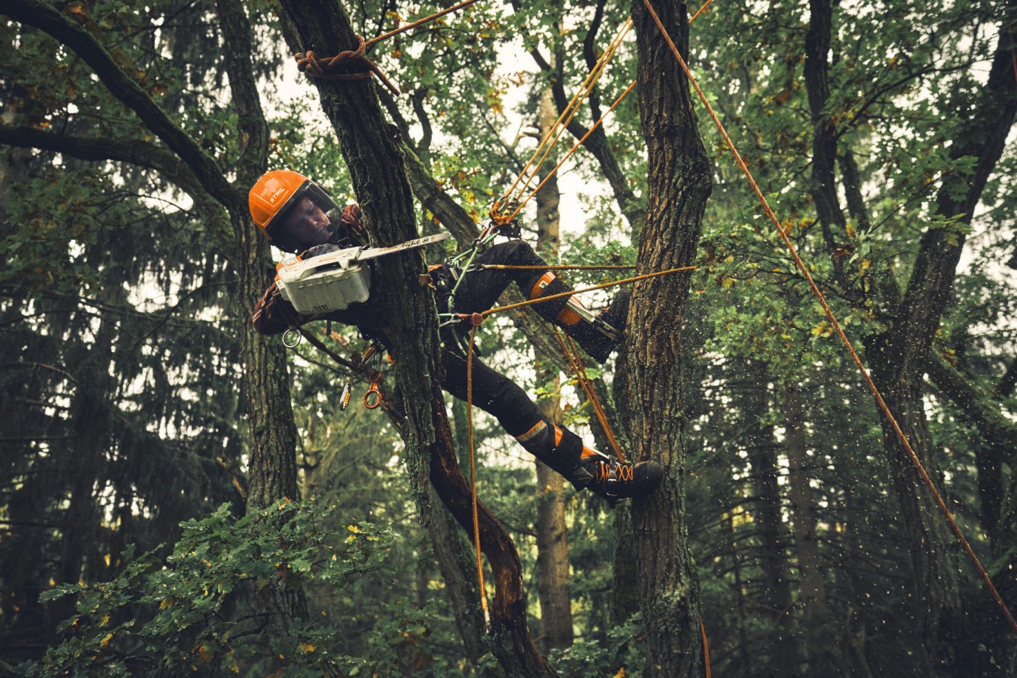 Motosega STIHL in lavoro su legna da taglio